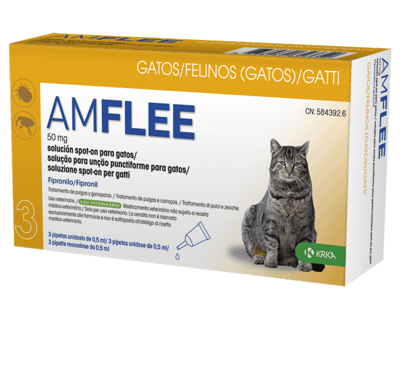 Amflee